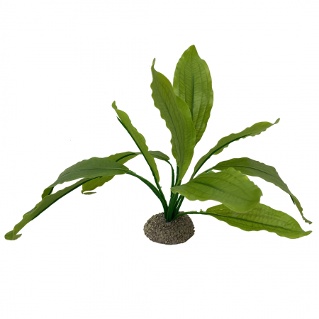 Decoruri - Planta Artificiala Echinodorus 2 Verde 24 cm 242/468258