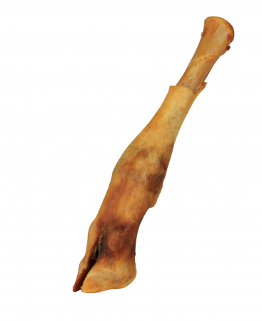 Hrana si Recompense Caini - Picior de Miel 80-90 g 16-18 cm 2740