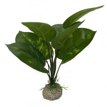 Decoruri - Planta Artificiala Anubias 1 Verde 24 cm 242/468272