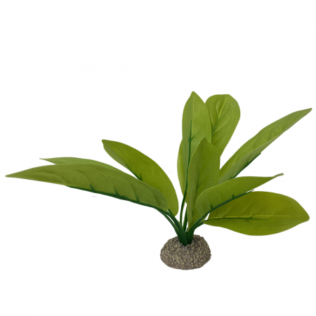 Decoruri - Planta Artificiala Echinodorus 3 Verde 24 cm 242/46826