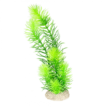 Decoruri - Planta Artificiala Hornwort Verde M 24 cm 242/458310
