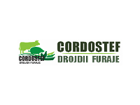 Cordostef