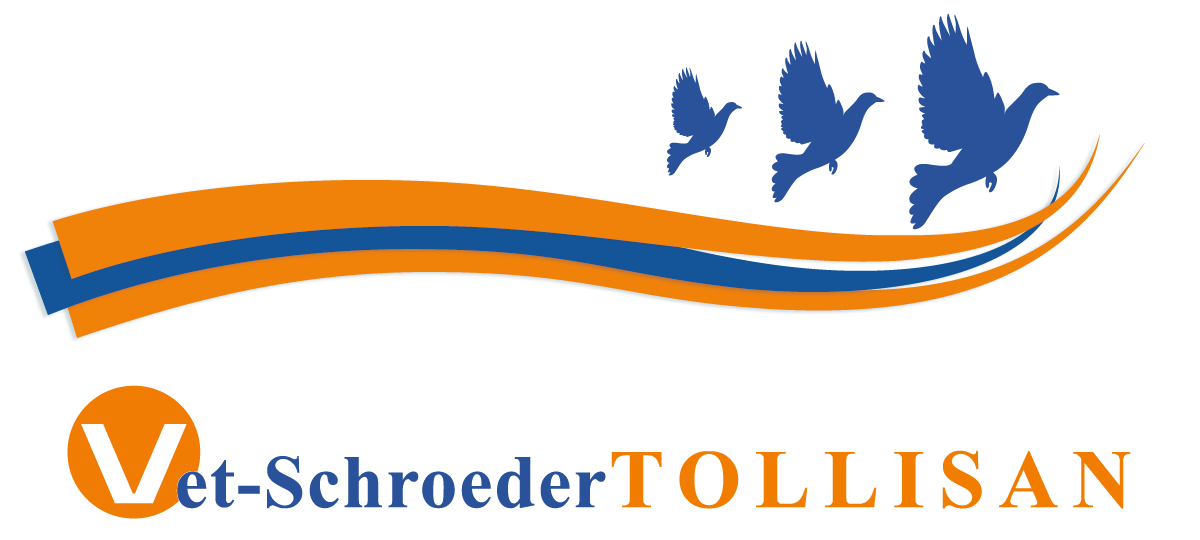 Schroeder Tollisan