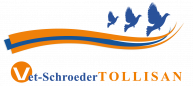 Schroeder Tollisan