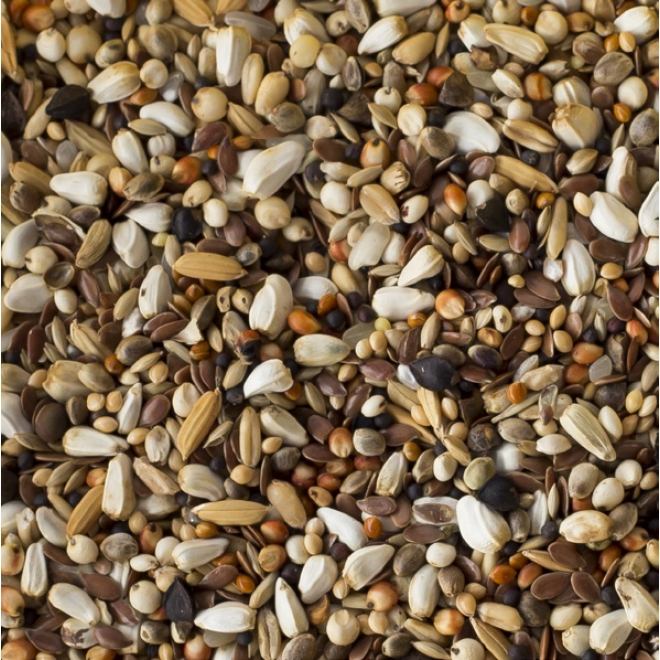 Hrana Porumbei, pentru dieta dupa curse, Farma Diet, cu 15 tipuri de seminte, 20 kg [2]