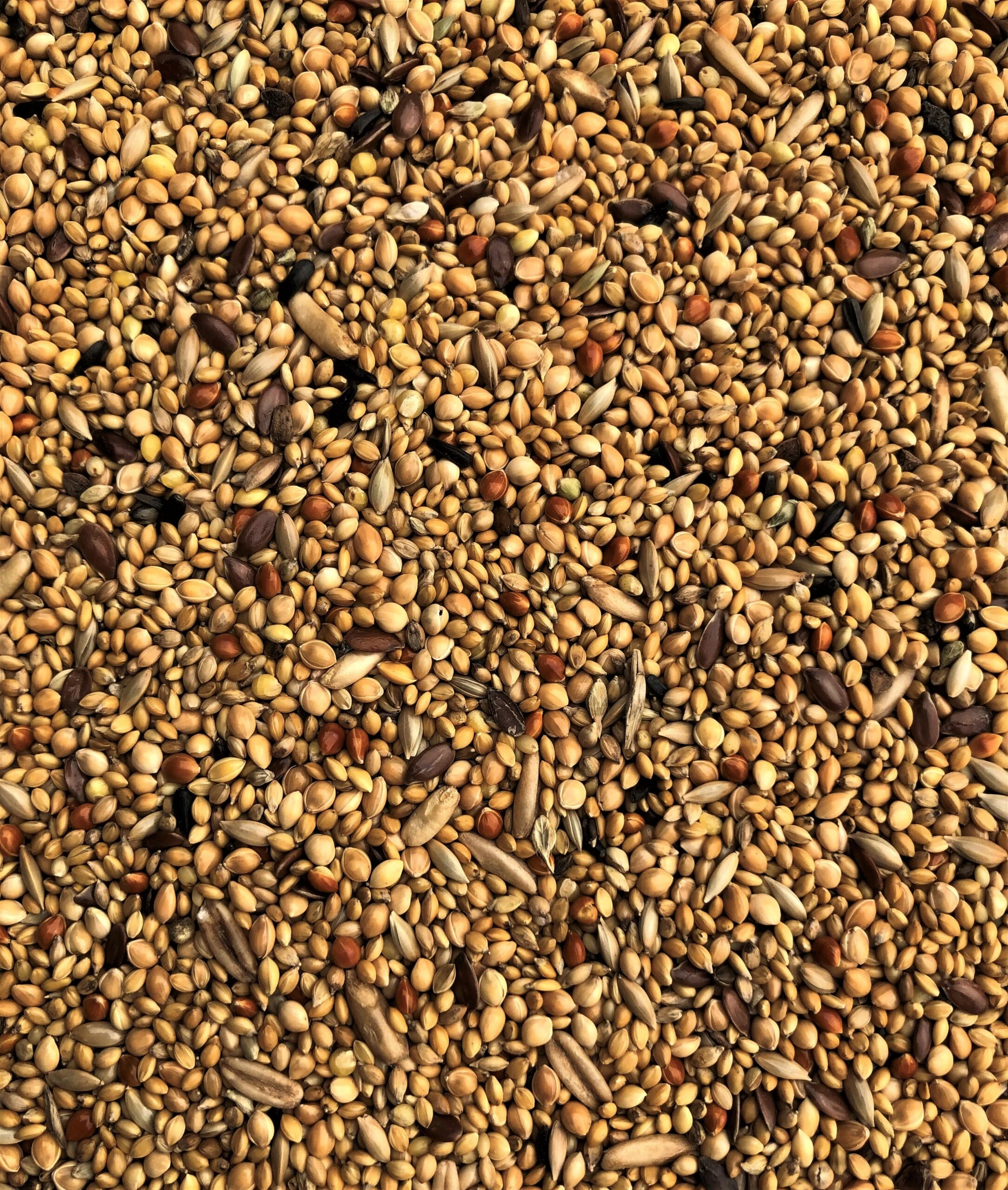 Hrana Pasari Exotice, Farma Exotic Mix, 20 kg [2]