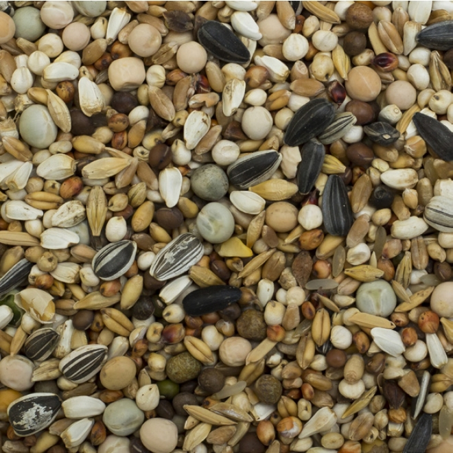 Hrana porumbei tineri - reproducere cu 15 tipuri de seminte, Farma Junior Economy, 20kg [2]