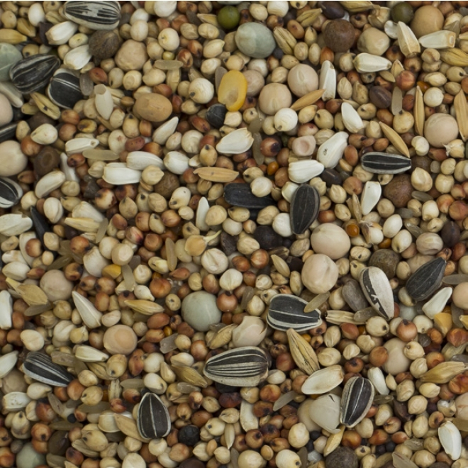 Hrana porumbei fara grau si porumb cu 22 tipuri de seminte, Farma Without Wheat, 20 kg [2]