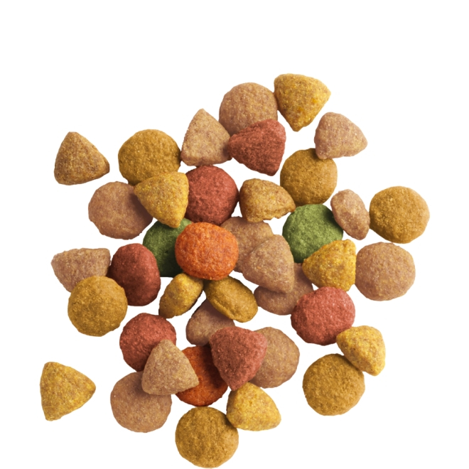 Hrana uscata pisici, Lara Adult cu curcan si pasare, Versele Laga, 350 gr [2]