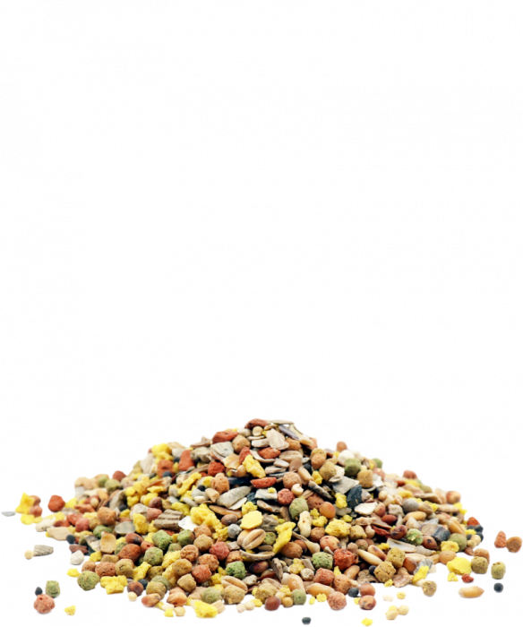 Amestec mineral pasari de curte, Mina Vital, 4 kg [2]