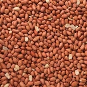 Alune decojite pasari exotice Ground Nut Kernels, Versele Laga, 25 kg [1]