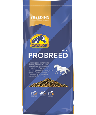 Hrana pentru cai - Cavalor Probreed Mix Expert, gestatie si alaptare, Versele Laga, 20 kg