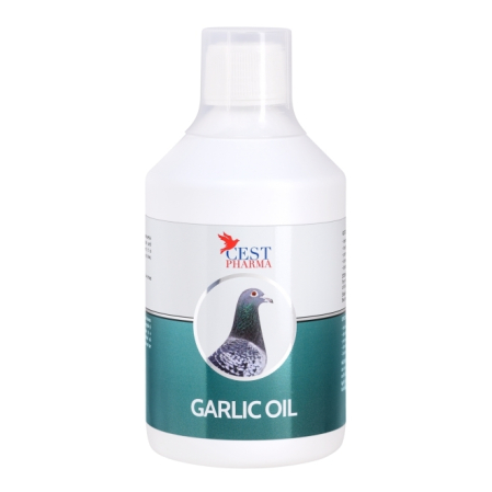 Suplimente pentru porumbei - Cest Pharma Garlic Oil, pentru digestie si cai respiratorii, 500 ml