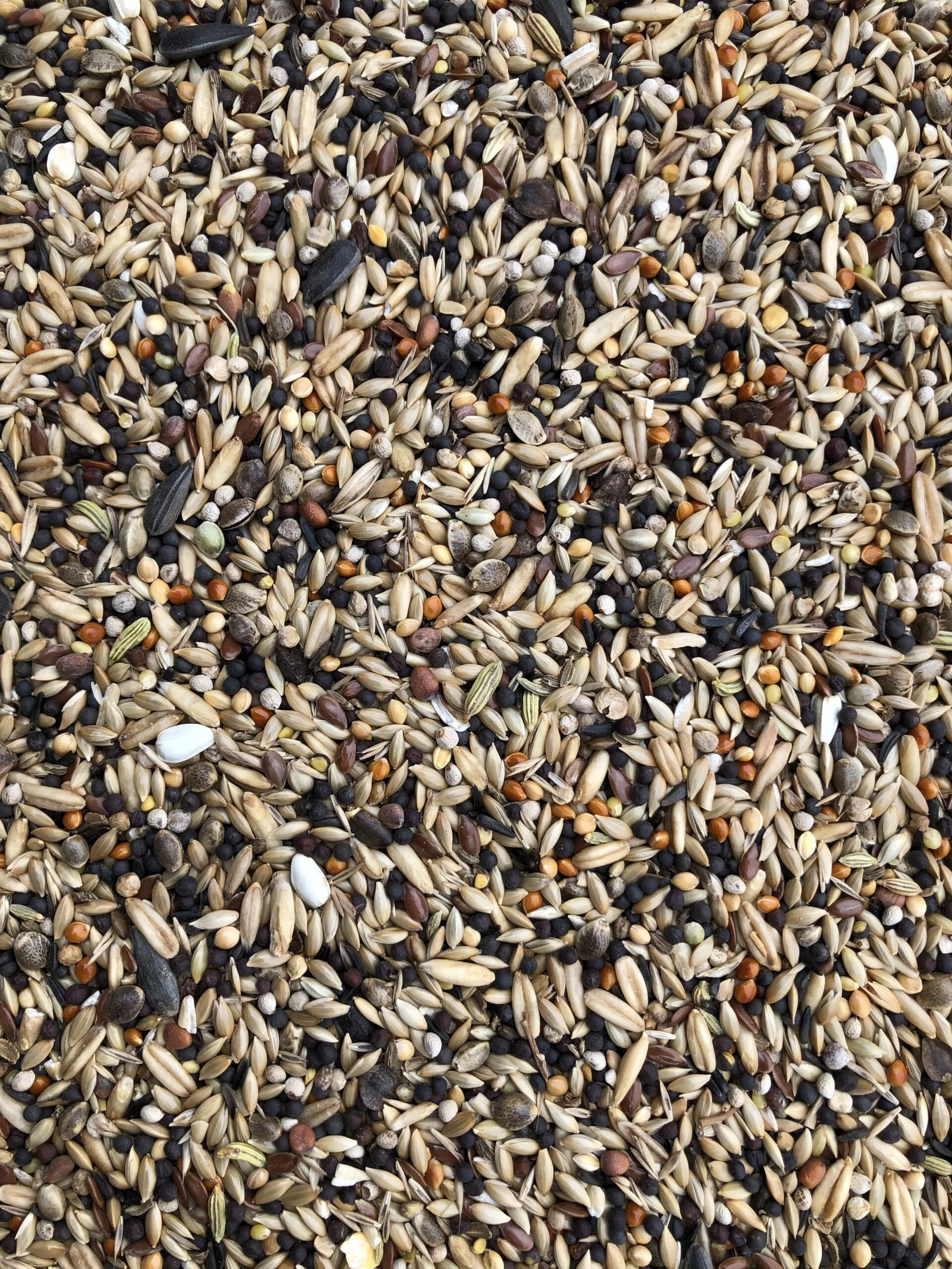 Hrana Cinteze si Pasari Salbatice, Farma Wildbird Normal Mix, 20 kg [1]