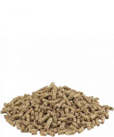 Furaj gaini ouatoare Gold 4 Gallico granulat (pellet), proteina 16 %, Versele Laga, 20 kg [1]