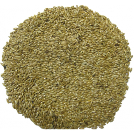 Hrana canari, cinteze, papagali, Plain Canary Seeds (seminte canare) Versele Laga, 25 kg [1]