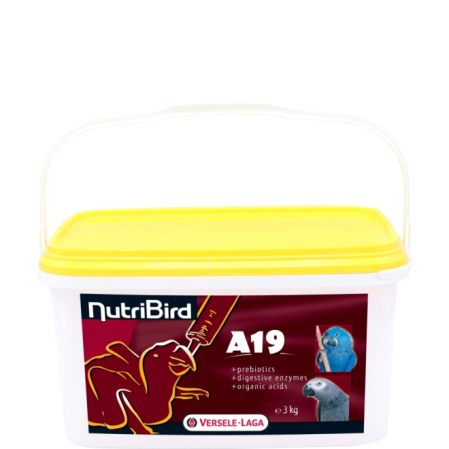 Pasari exotice - Hrana pui de papagali NutriBird A 19, Versele Laga, 3 kg