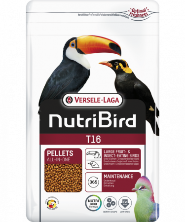 Hrana pentru pasari exotice - Hrana tucani, turaci si porumbei de fructe Nutribird T16 Versele Laga, 10 kg
