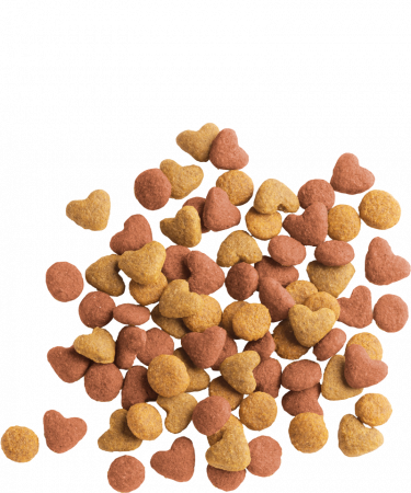 Hrana Pisica, Lara Junior, cu Pui, 2 kg [1]