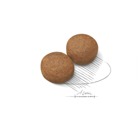 Hrana Caine Adult Talie Mare, Maxi Adult, 4 kg [1]