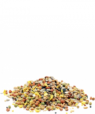 Amestec mineral pasari de curte, Mina Vital, 4 kg [1]