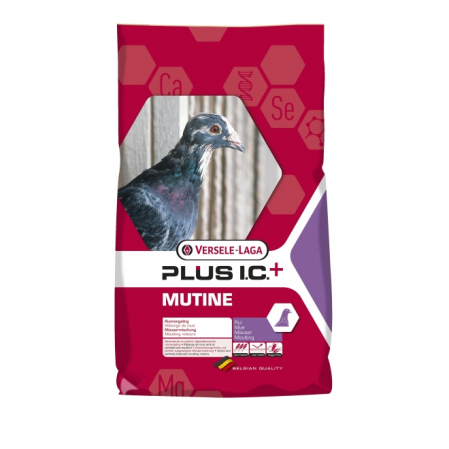 Hrana pentru porumbei - Hrana Porumbei Naparlire, Mutine PLus IC, Versele Laga, 22 kg