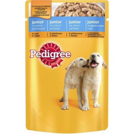 Caini - Pedigree Junior cu Pui 100 Gr X 24 Buc / Set