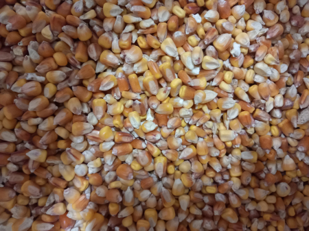 Hrana pentru porumbei - Porumb Mic, Small Corn, 20 kg