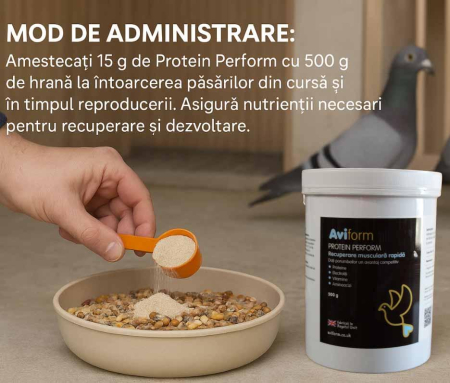Proteine 84% pentru porumbei de curse, Aviform Protein Perform, 500 g [3]