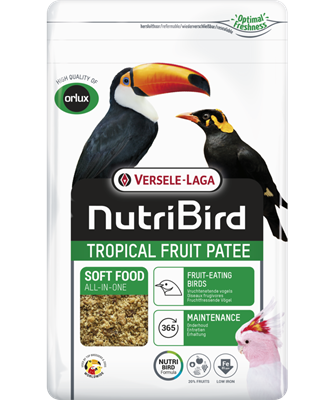 Black Friday - Tropical Fruit Patee 5 kg, supliment cu fructe pentru papagali mari