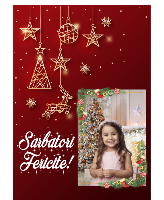 Oferta de Craciun [4]