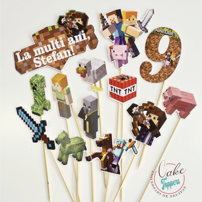Set Toppere Minecraft [1]