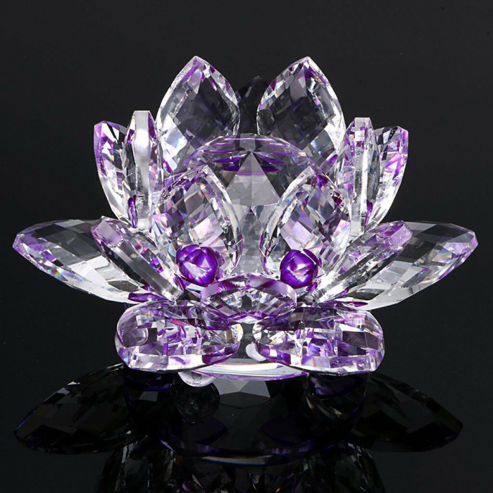 Lotus Cristal [4]