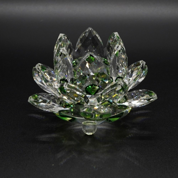 Lotus Cristal [7]