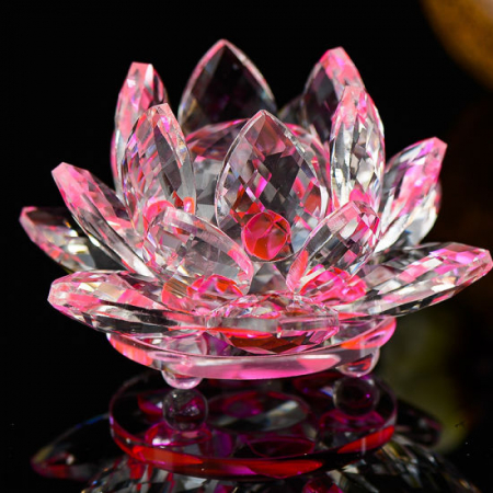 Lotus Cristal [2]