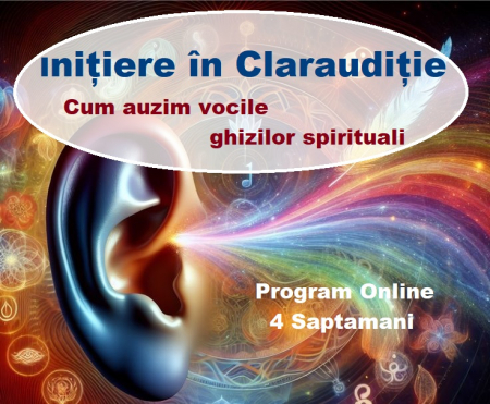 CURSURI VIDEO inregistrare - Initiere in Clarauditie - Program Digital Online