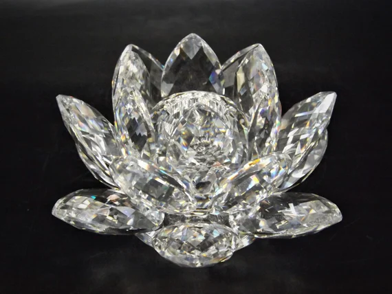 Lotus Cristal [7]