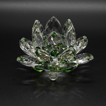 Lotus Cristal [6]