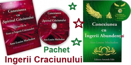 SPIRITUL CRACIUNULUI - Pachet Ingerii Craciunului