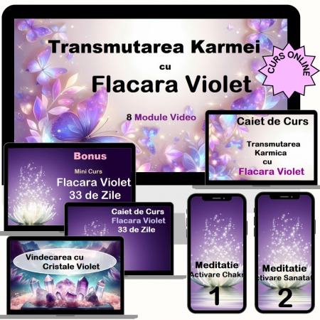 CURSURI VIDEO inregistrare - Transmutarea Karmei cu Flacara Violet - Program Digital Online