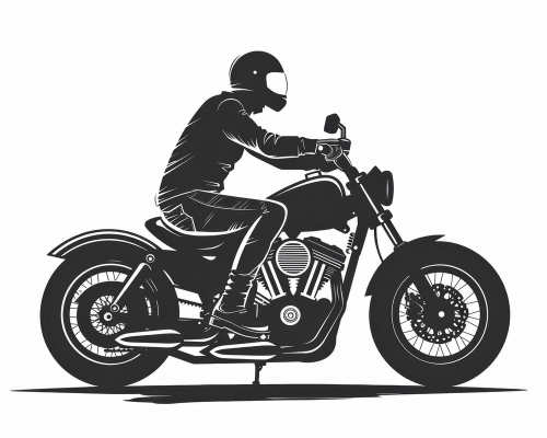 Accesorii Moto