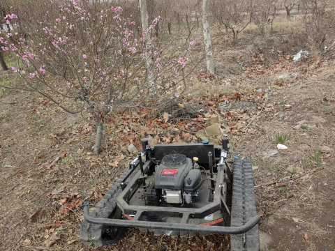 Robot de Tuns Iarbă Profesional SAAO SH-800DL – Motor Loncin 27CP, Lățime Tăiere 1000mm, Șenile Crawler, Telecomandă 680m, Pantă Max 45°, Tundere Vegetație Densă și Terenuri Dificile [3]
