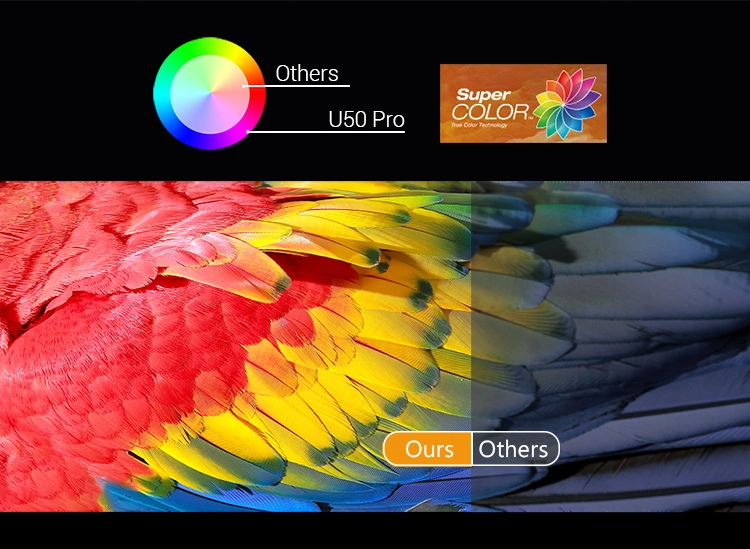 H9066f58957c24e66bfe35d975a48bf6aO.png