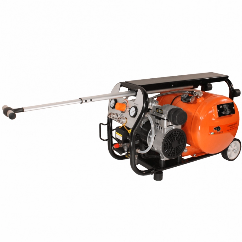 Compresor de aer cu piston BISONTE SC012-015 fara ulei 230V 1,2 cp debit 168 l/min presiune 8 bar [2]