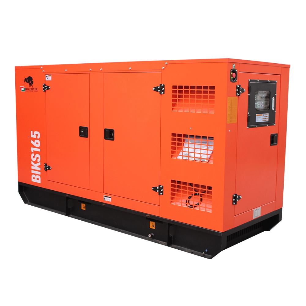 Generator de curent Bisonte BIKS165, insonorizat, Pmax=165kVA 400V ATS inclus [1]