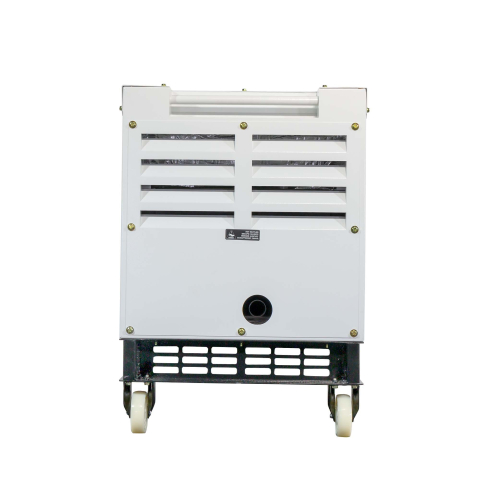 Generator diesel monofazat ITC Power DG10000SE, 8,5 kW, insonorizat, AVR [6]