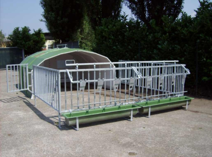 Boxe pentru viței AGRIBOX 8 [2]