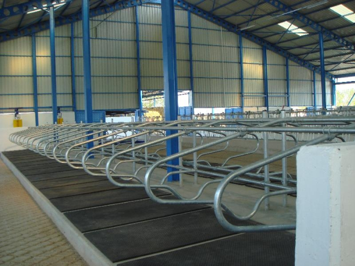 Covor cauciuc pentru odihnă bovine [3]