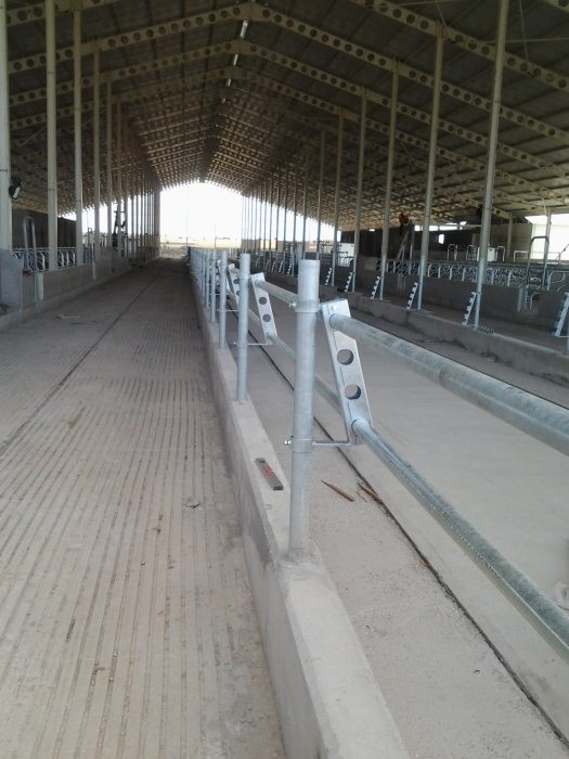 Front furajare cu bare orizontale pentru bovine [2]