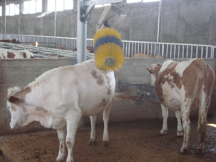 Perie scărpinare automată pentru bovine [5]